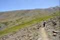 Camino del borreguil