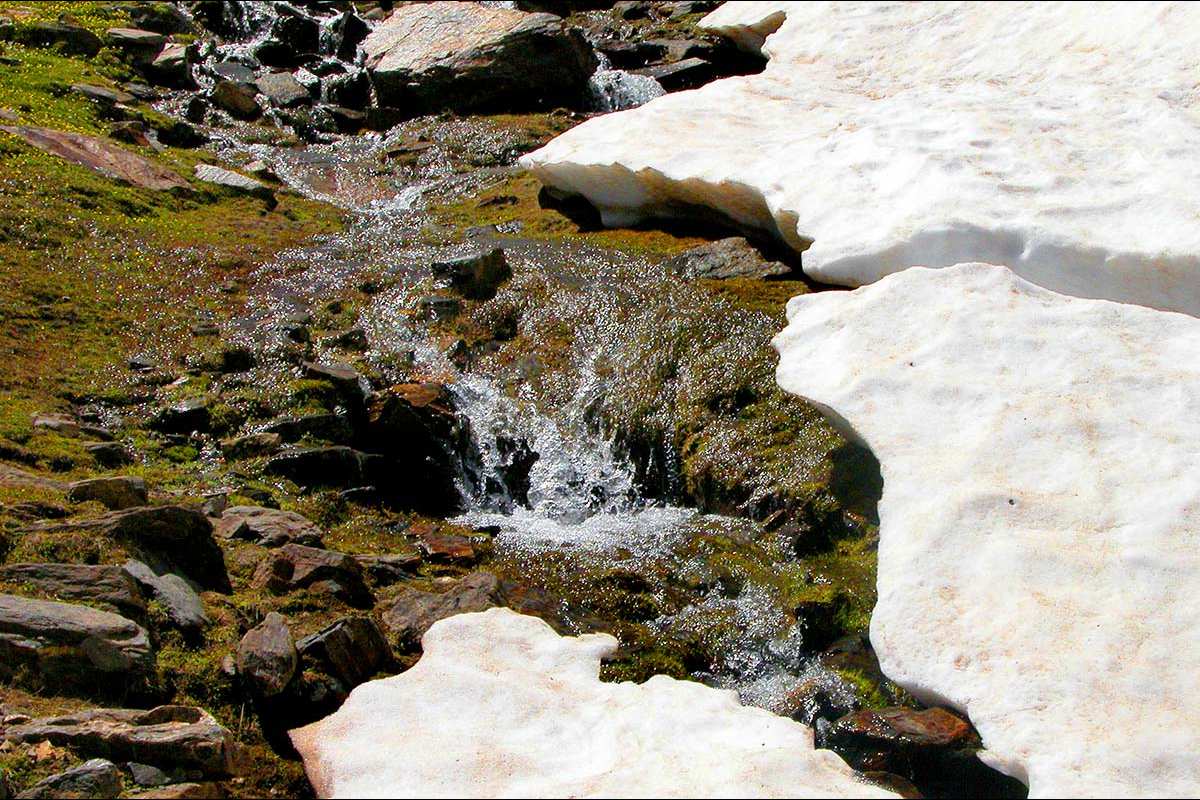 Arroyos del deshielo en el borde de los prados