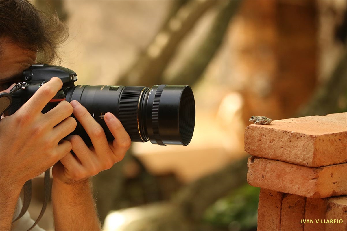 Ivan-fotografiando-sapo-partero