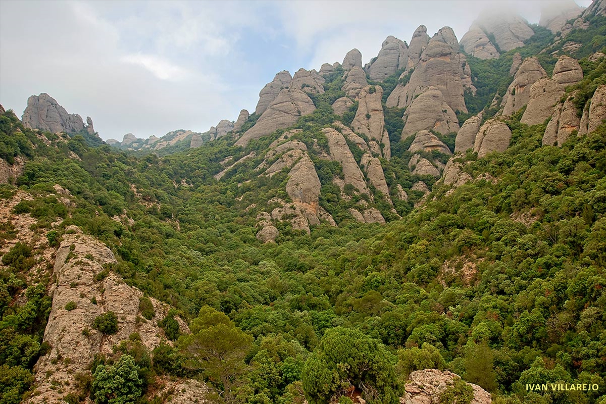 Montaña-de-Montserrat