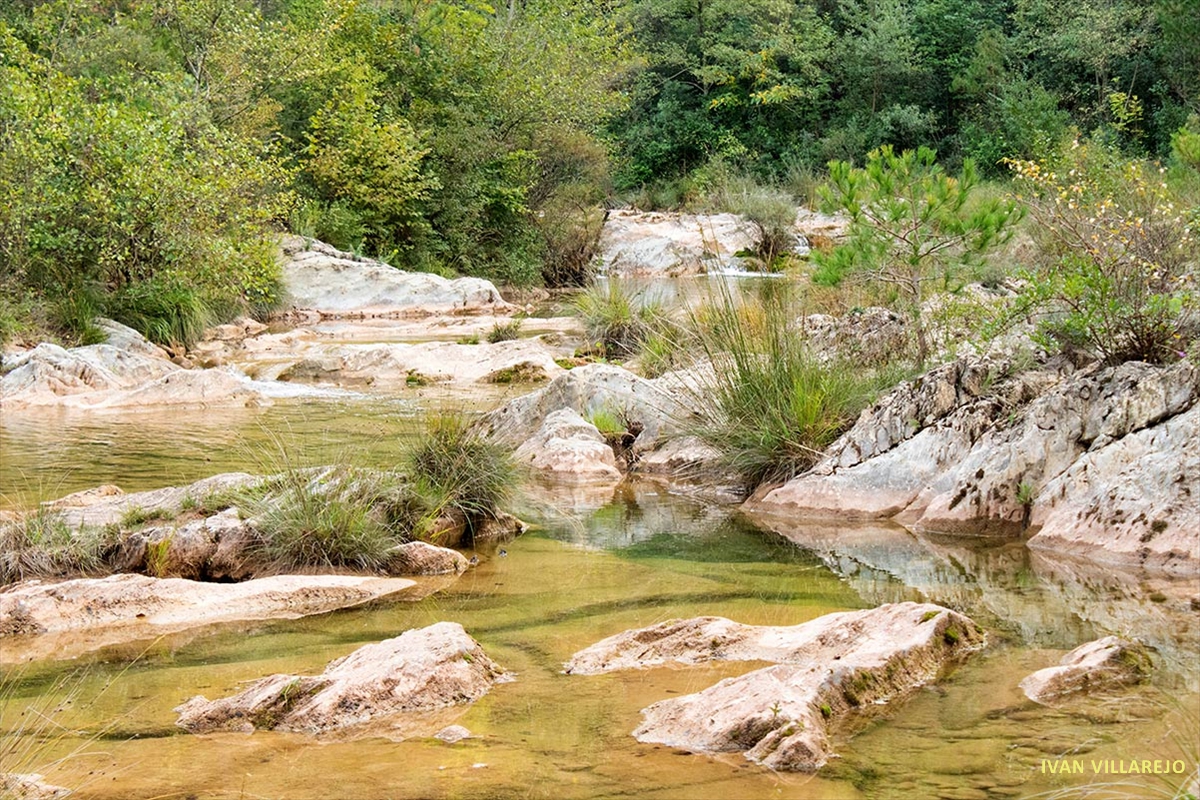 paisaje-río