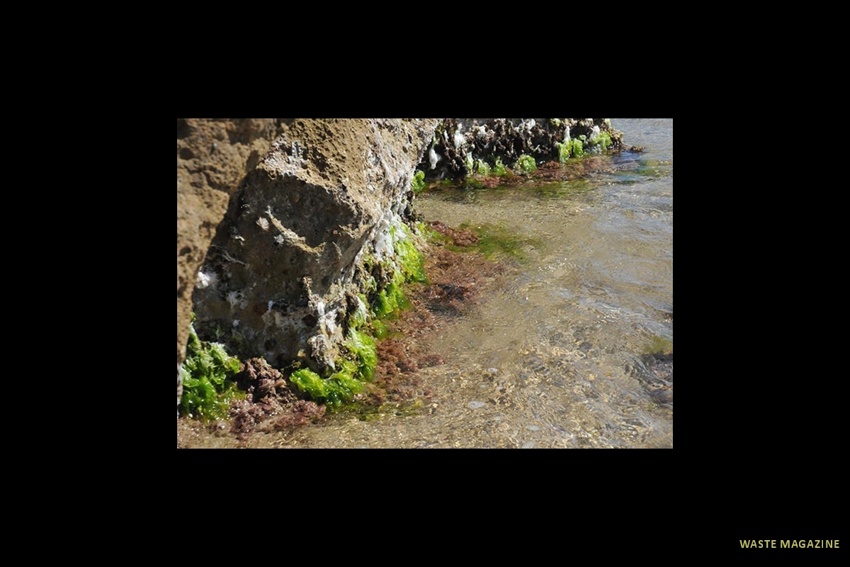 cabodegata-buceo-021
