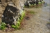 cabodegata-buceo-021