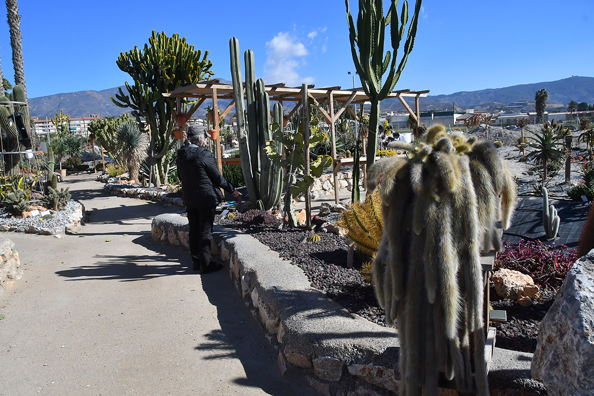 cactus_motril4