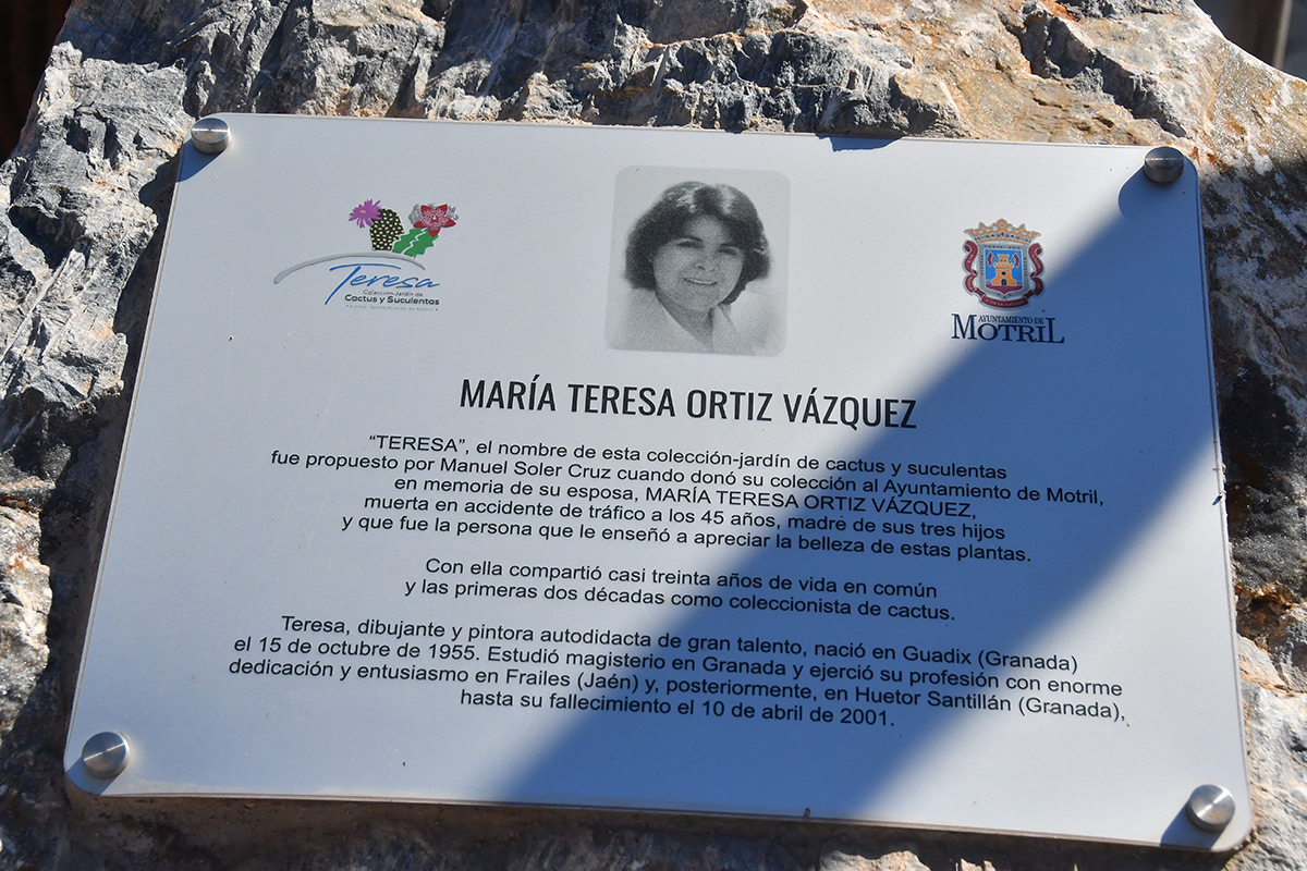 cactus_teresa