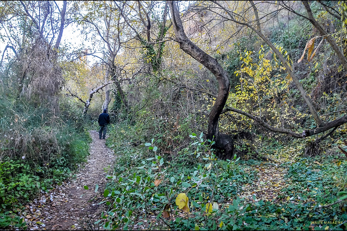 camino-del-avellano-45