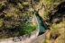 canal-de-cacin-10