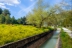 canal-de-cacin-12