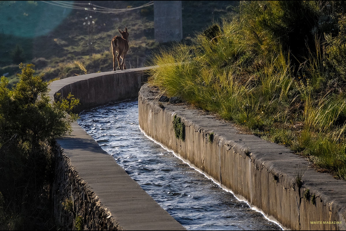canaldelaespartera-07