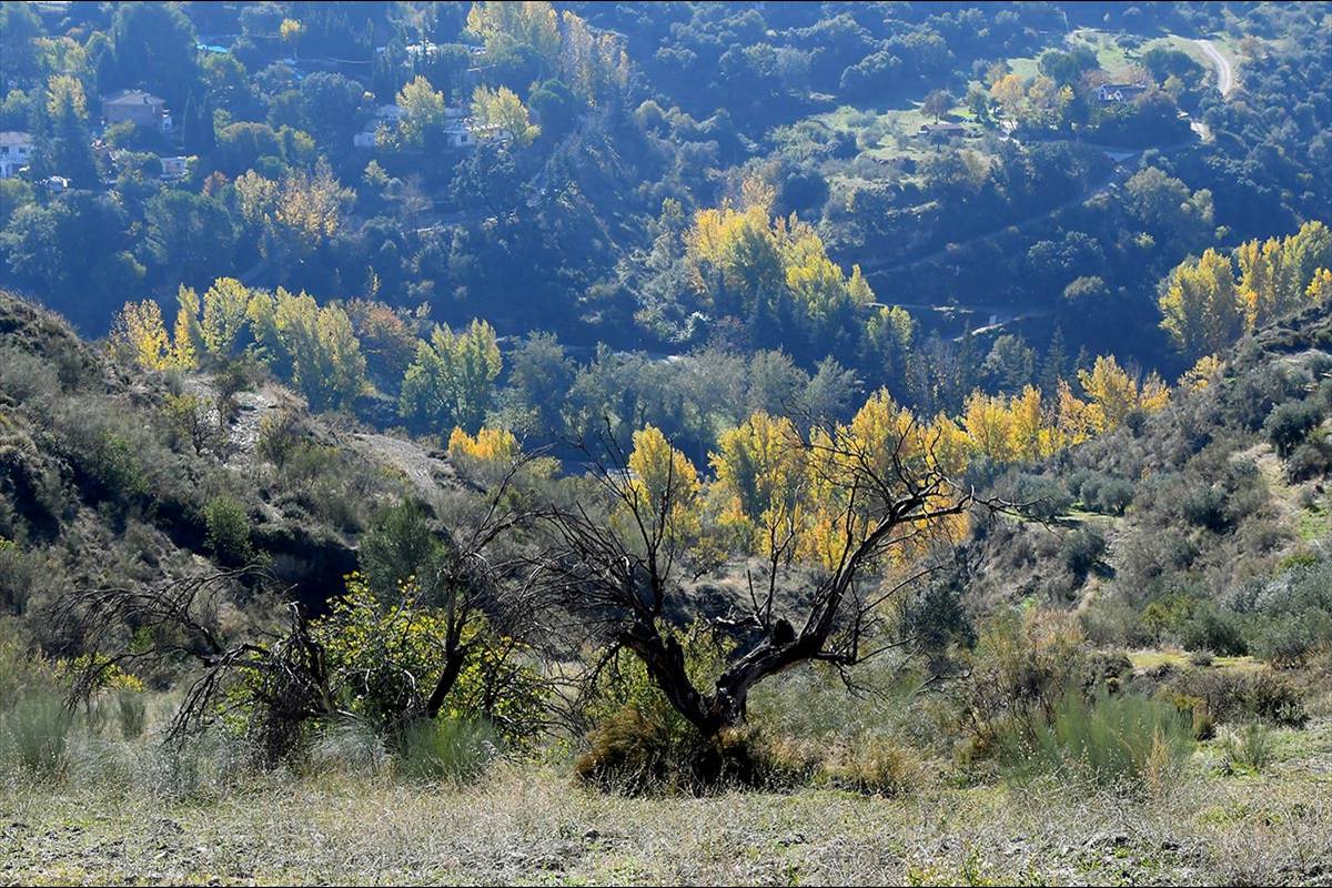 Torres-Canal-de-los-Franceses-011