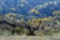 Torres-Canal-de-los-Franceses-011