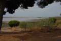 MARISMAS RÍO PIEDRAS