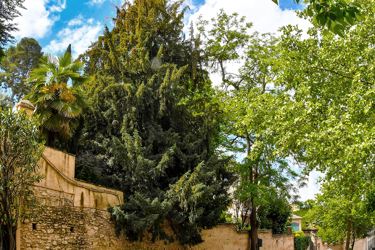 carmendebellavista01