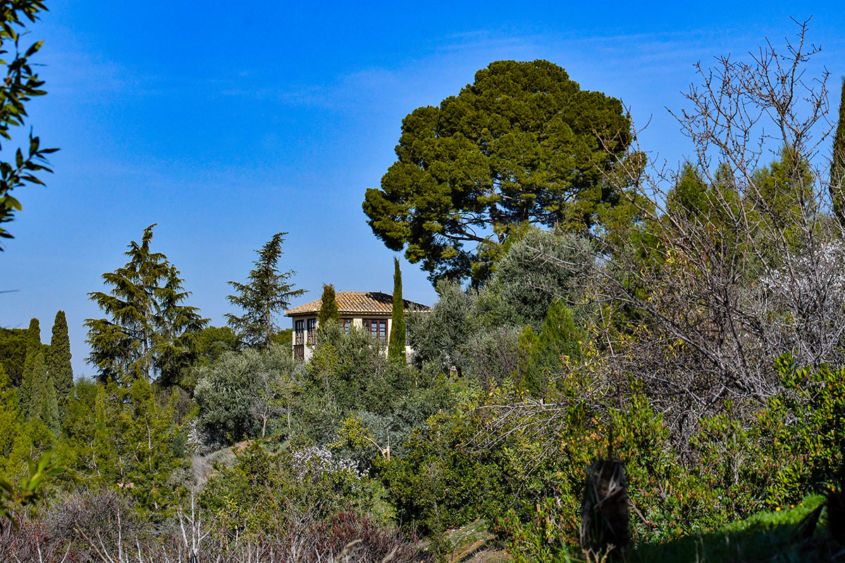 carmendebellavista03