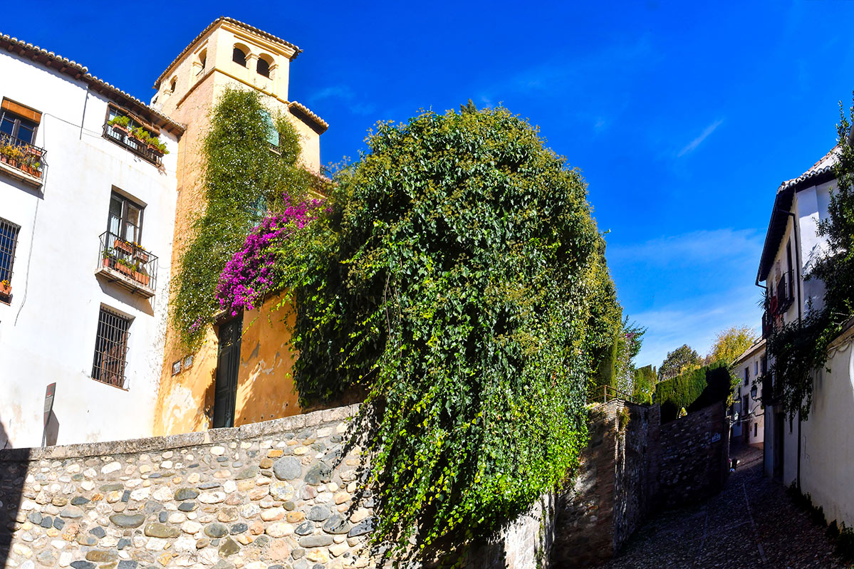 carmencipresespanoramica