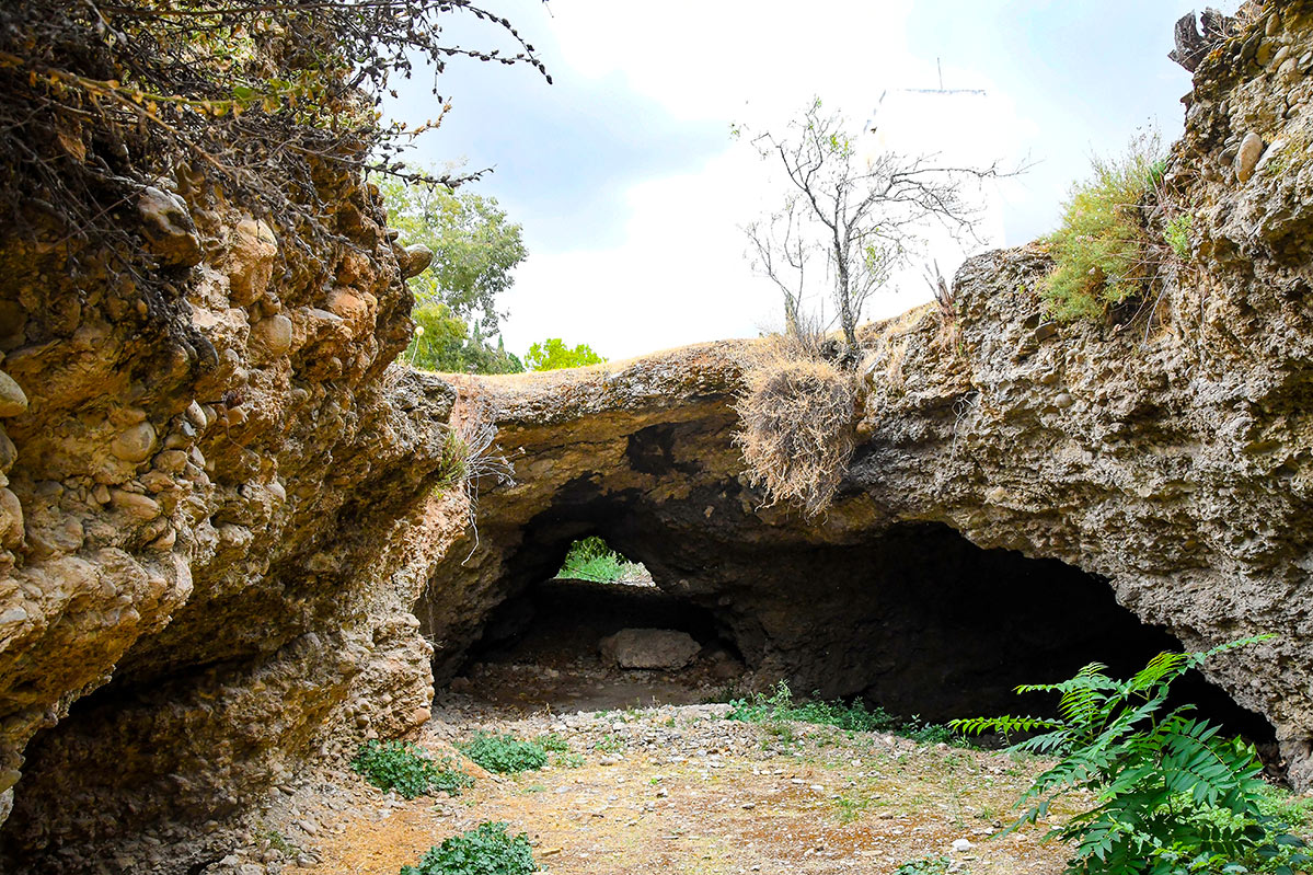 carmendeloscatalanes21