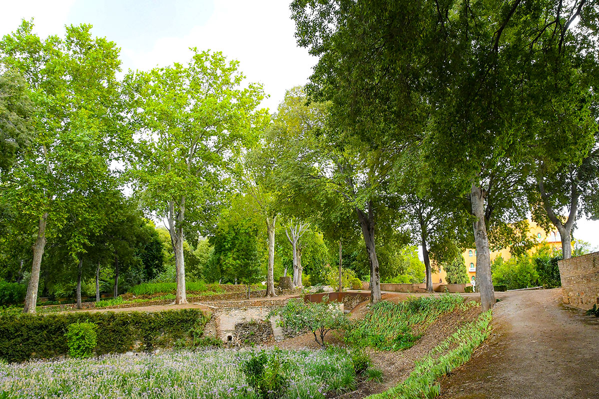 carmendeloscatalanes23