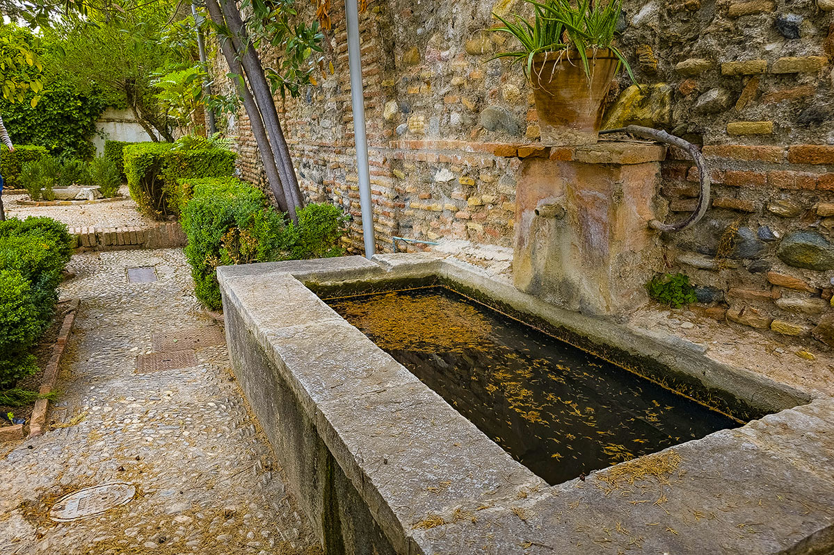 carmenmanueldefalla10