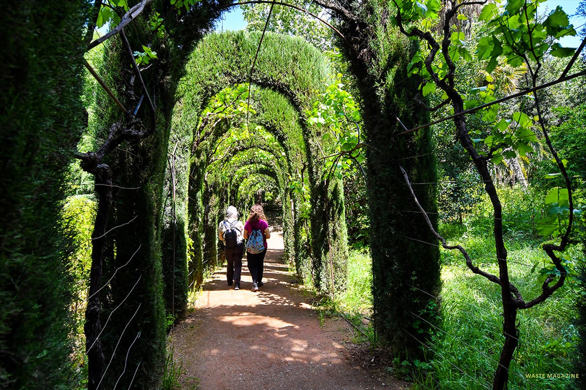 Paseo de topiarias de ciprés - Carmen de los Mártires