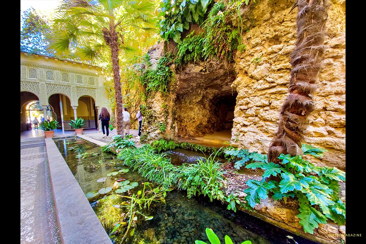 Patio Andalusí - Carmen de los Mártires