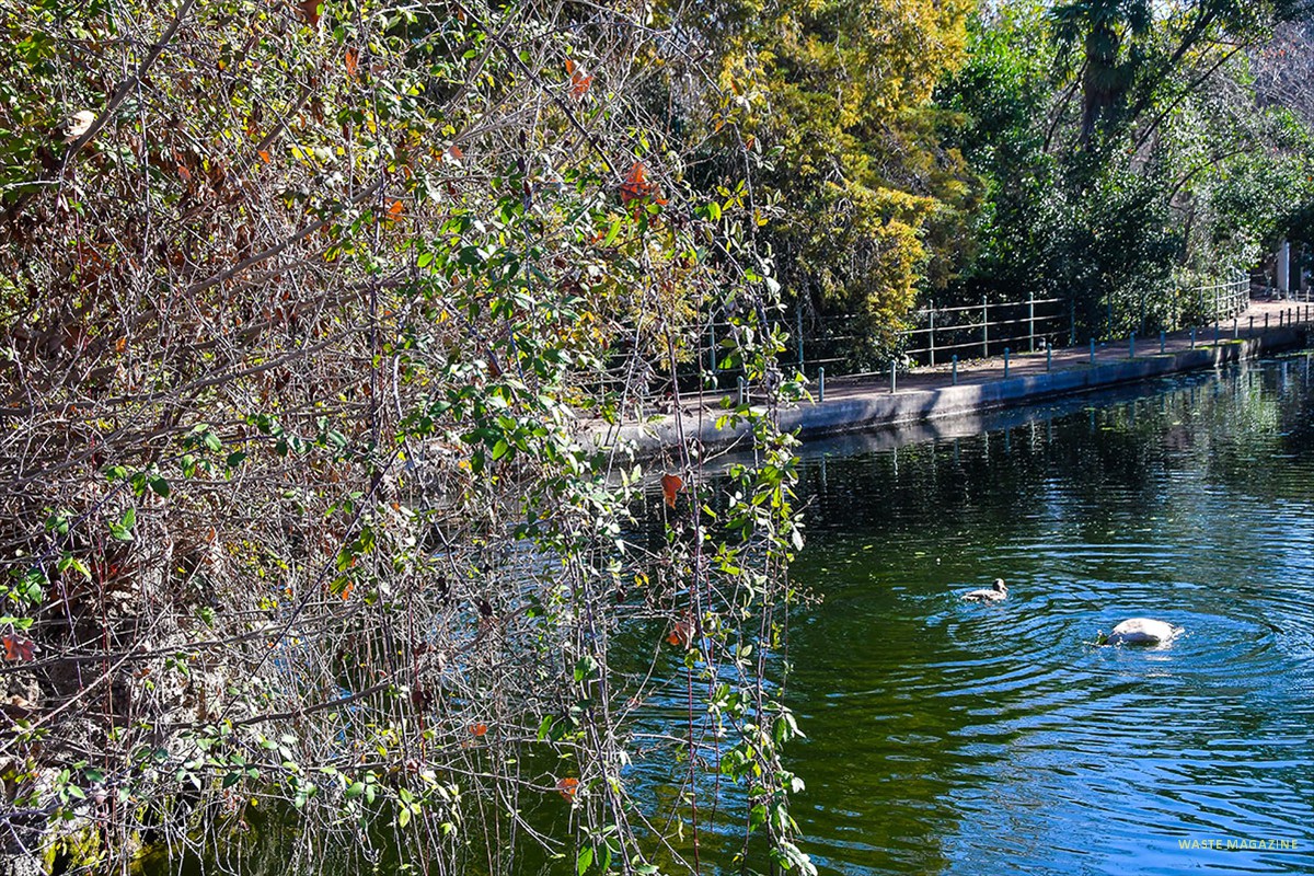 Lago - Carmen de los Mártires