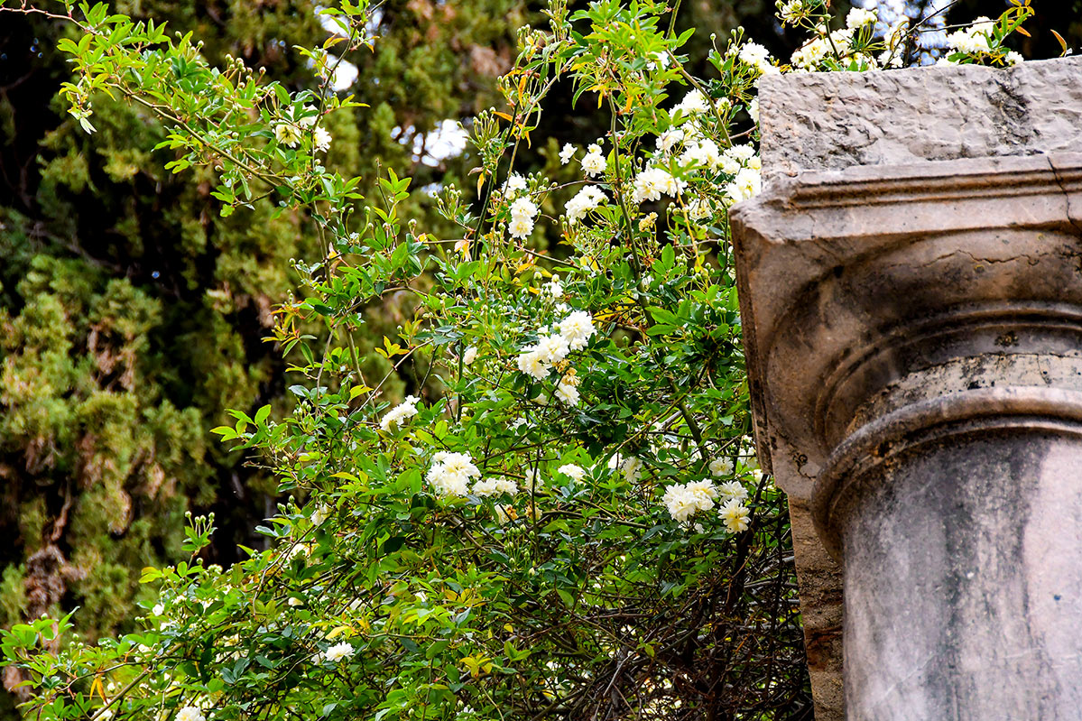 rodriguezacostacarmen73