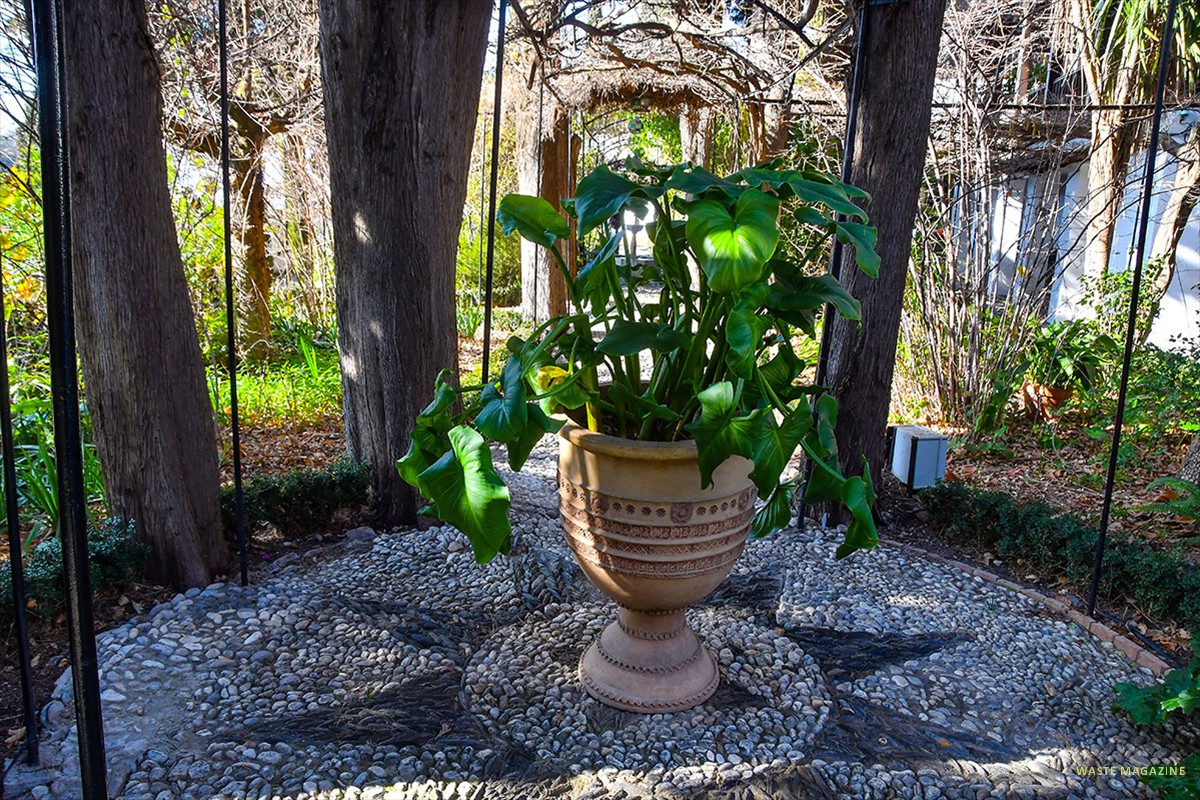 copa-marroqui-carmen-la-Victoria-397