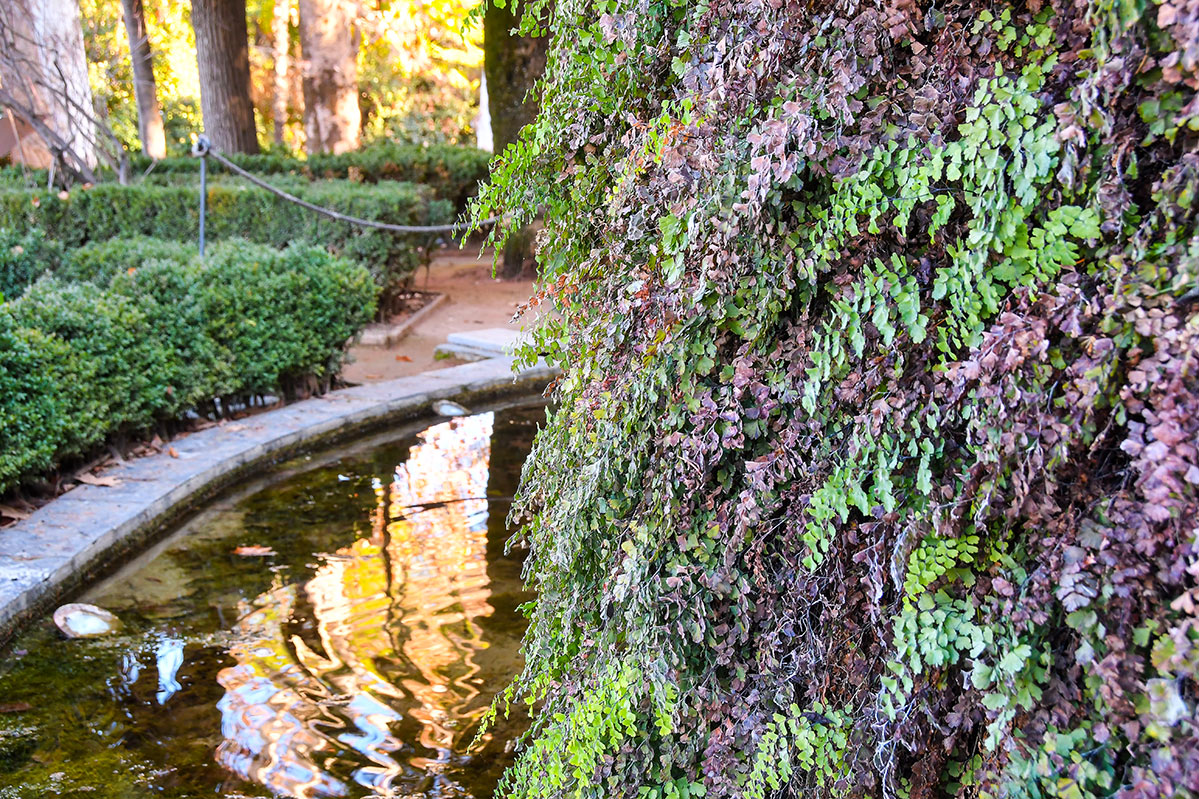 Carmen de los Mártires fuente de laa Ninfas