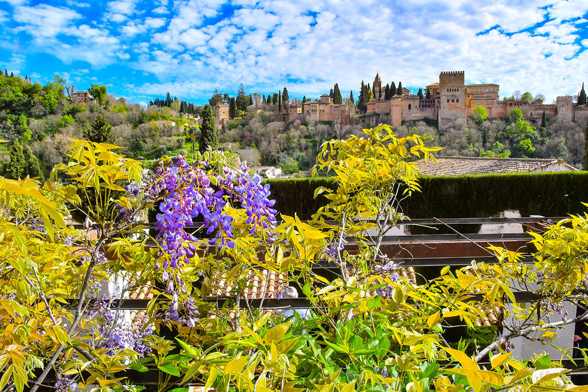 Carmen-victoira-glicinia-alhambra