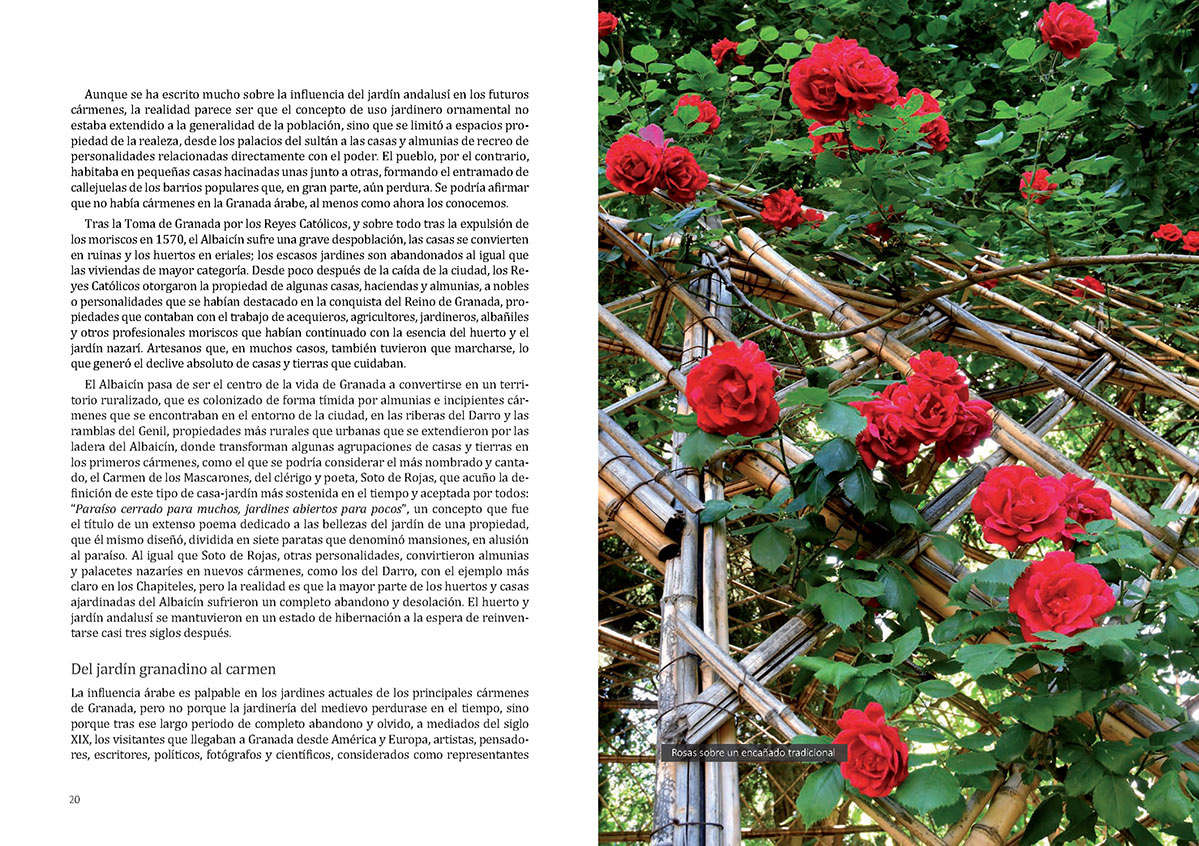 floradeloscarmenespagina011