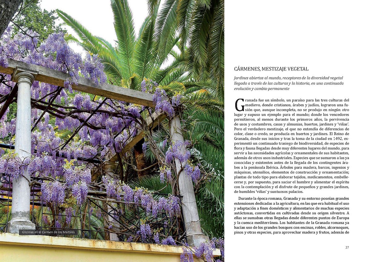 floradeloscarmenespagina014