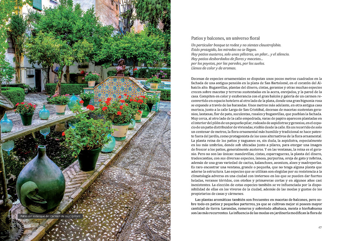 floradeloscarmenespagina024