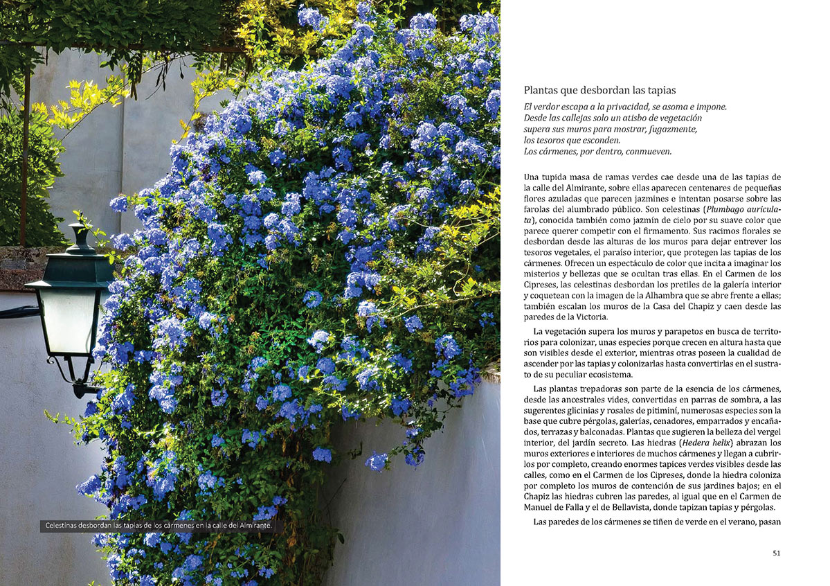 floradeloscarmenespagina026