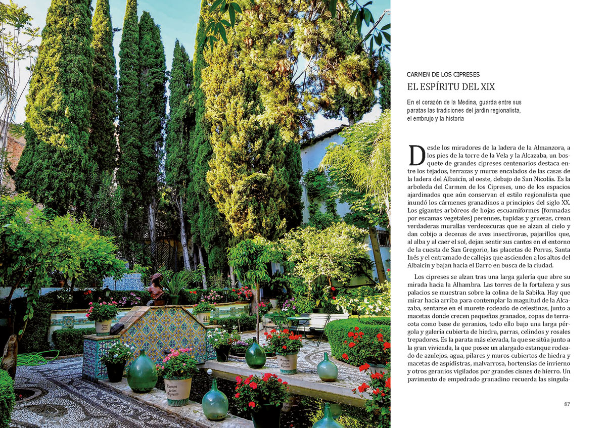 floradeloscarmenespagina044