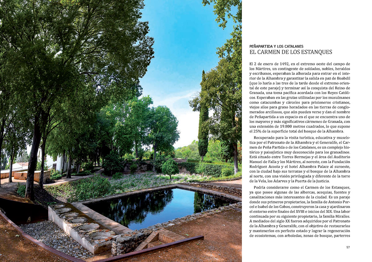 floradeloscarmenespagina049