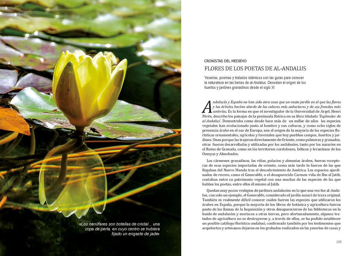 floradeloscarmenespagina072