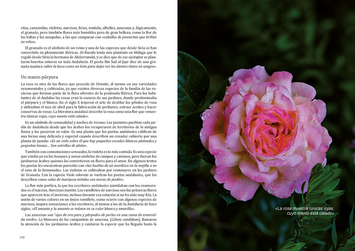 floradeloscarmenespagina074