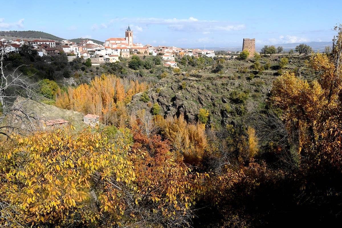 castanar-jerez-fuente010