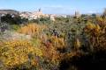castanar-jerez-fuente010