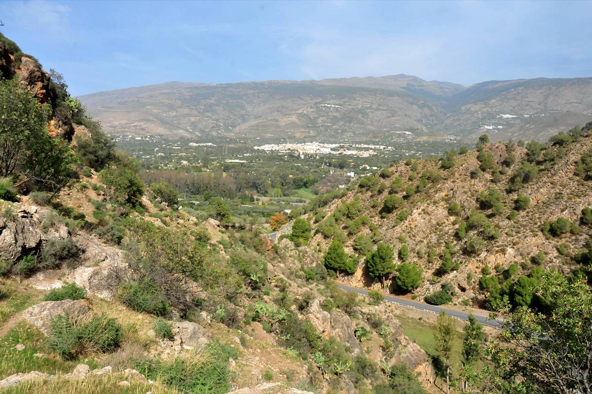 castillejo-orgiva-06