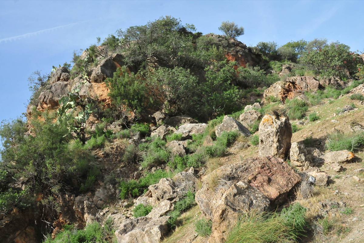 castillejo-orgiva-10