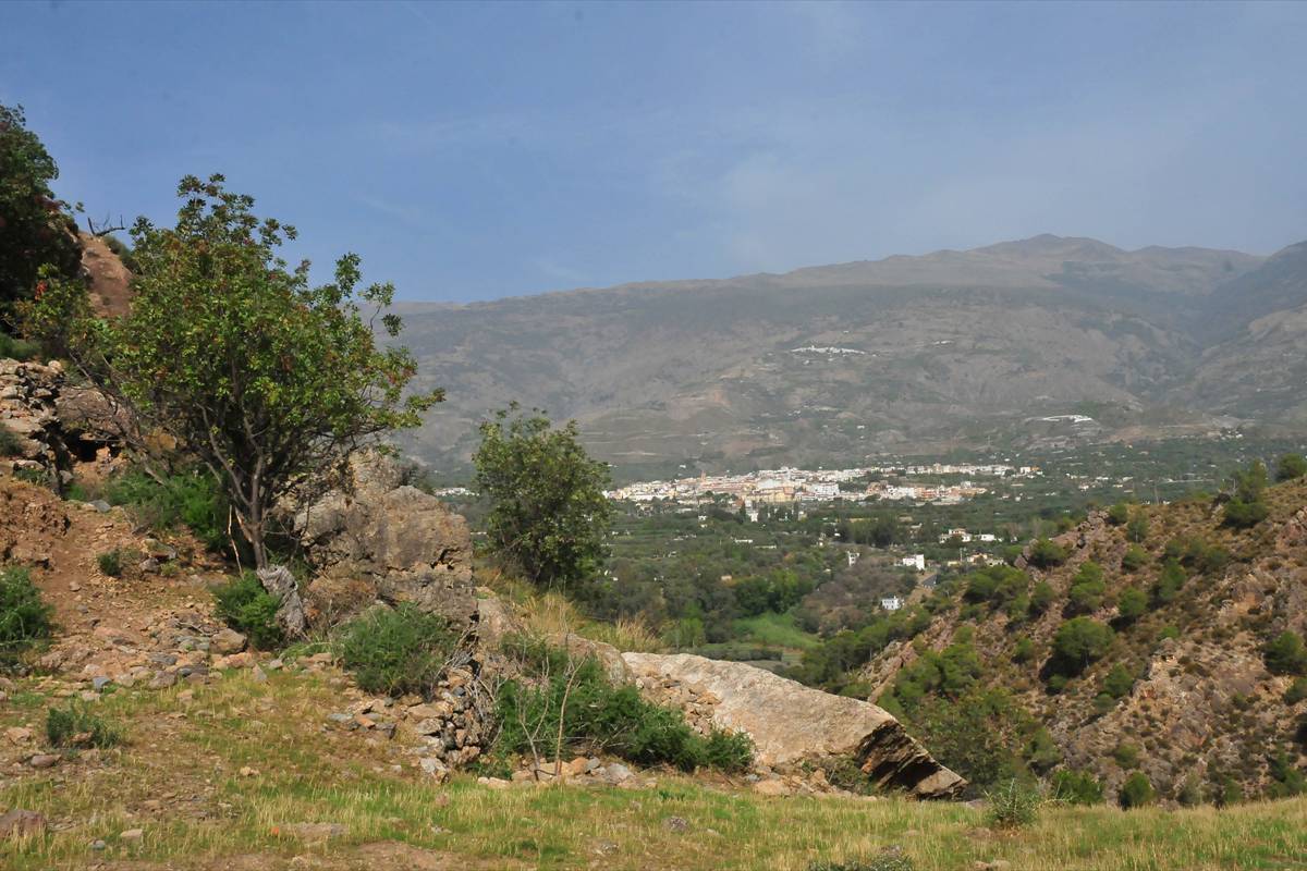 castillejo-orgiva-11