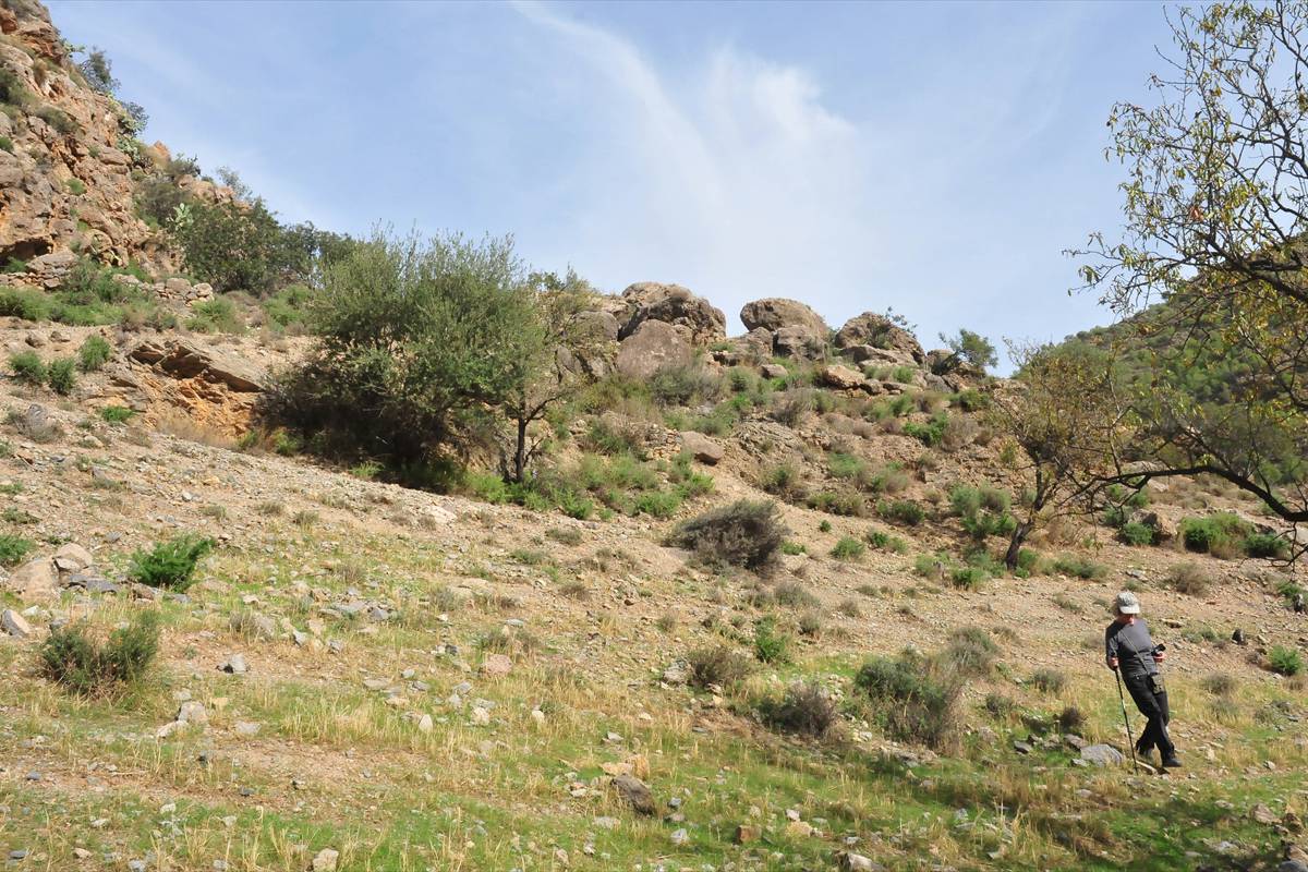 castillejo-orgiva-12