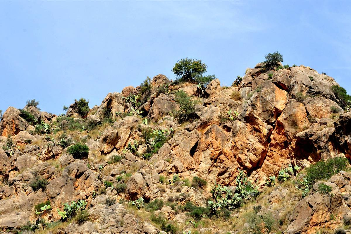 castillejo-orgiva-14