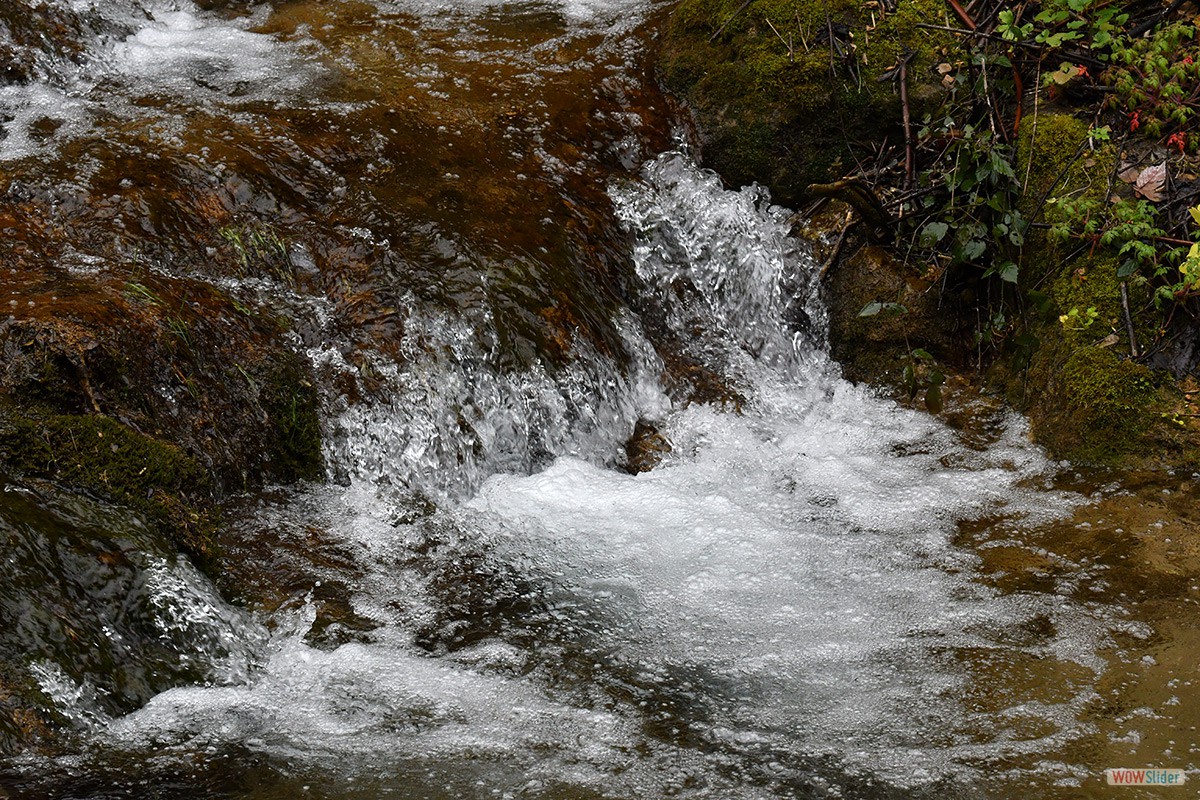 Sendero_Cerezuelo_Cazorla_06