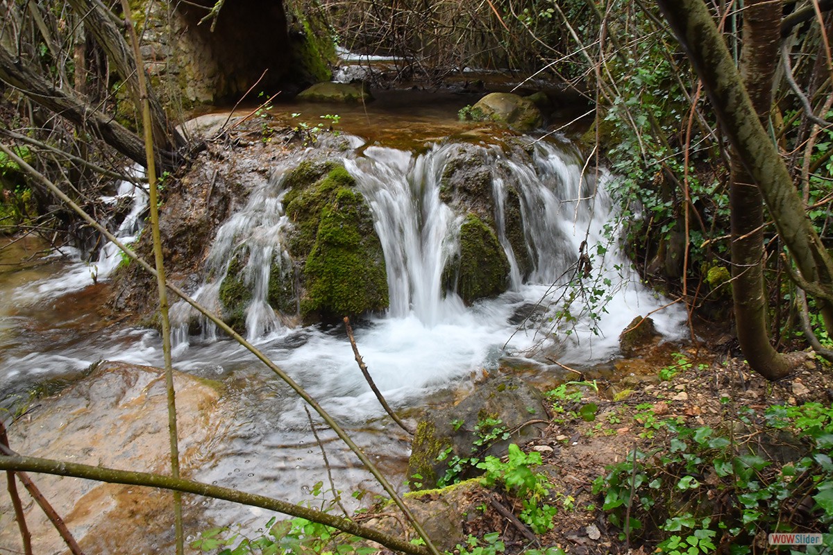 Sendero_Cerezuelo_Cazorla_07
