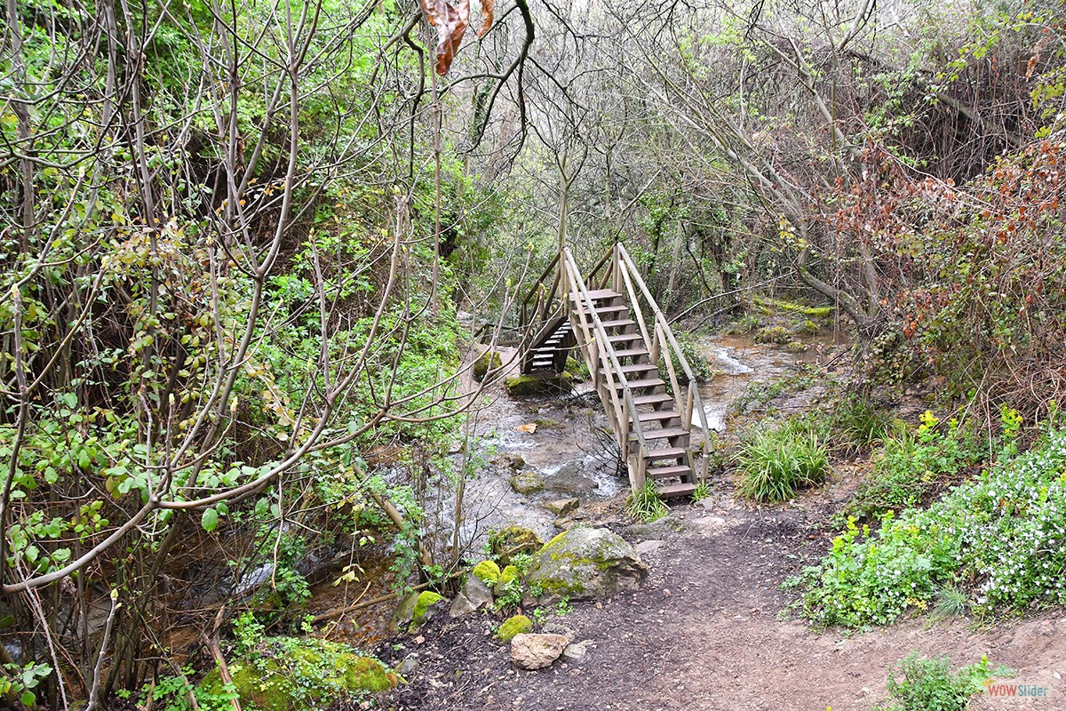 Sendero_Cerezuelo_Cazorla_11