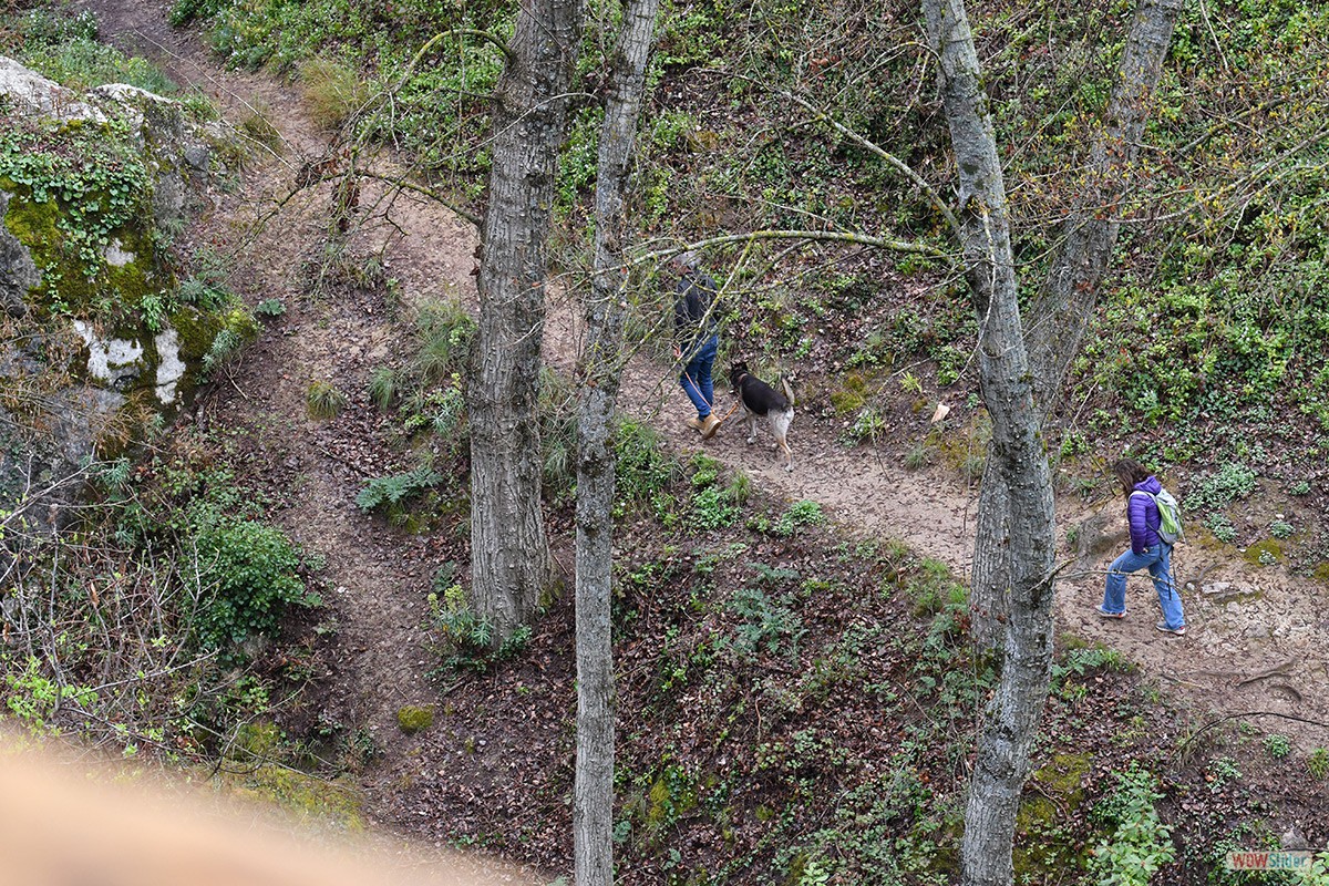 Sendero_Cerezuelo_Cazorla_12