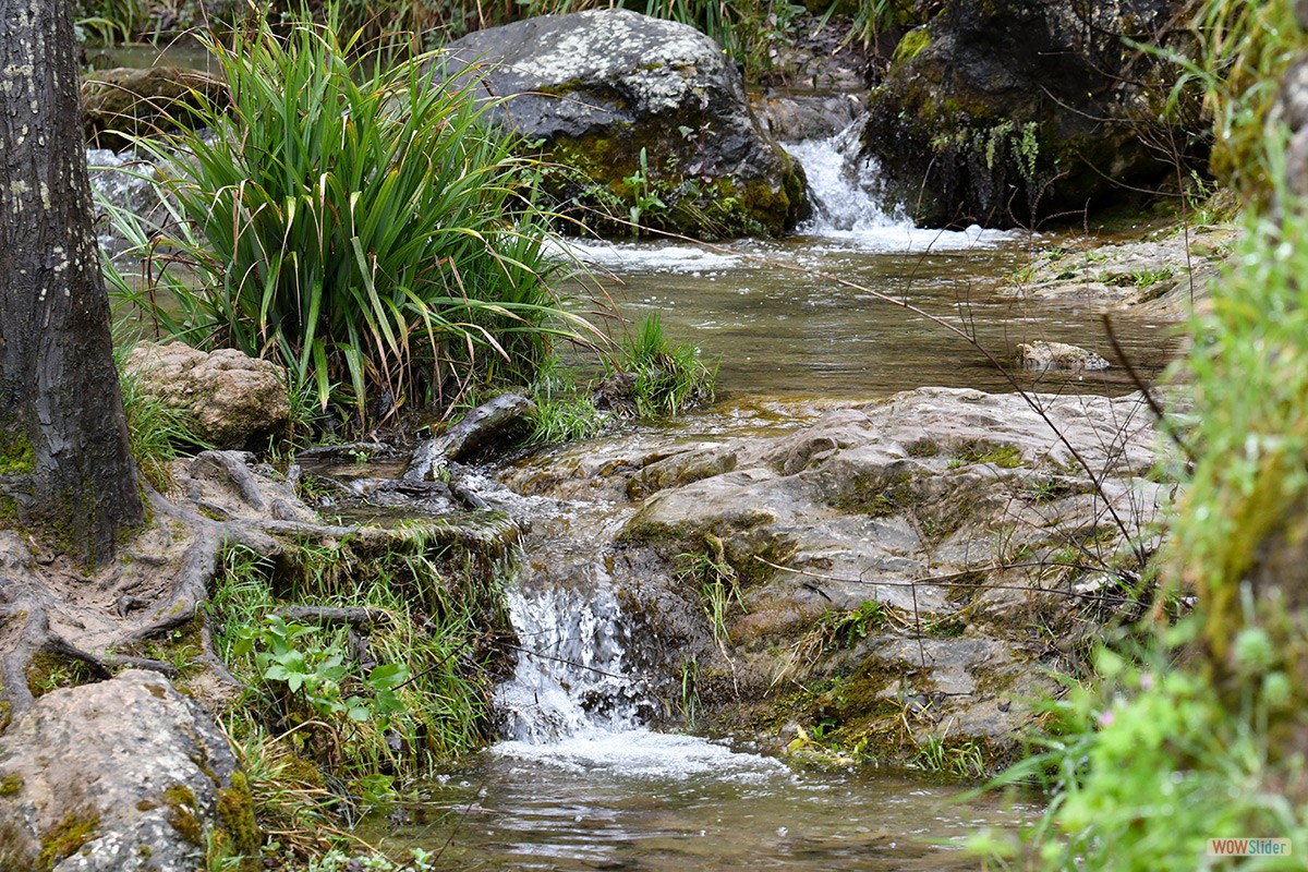 Sendero_Cerezuelo_Cazorla_14