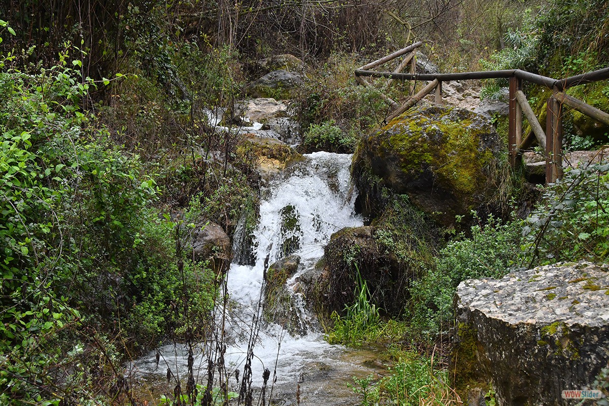 Sendero_Cerezuelo_Cazorla_15
